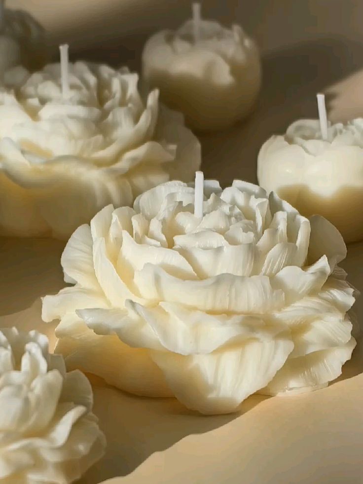 rose florale 
